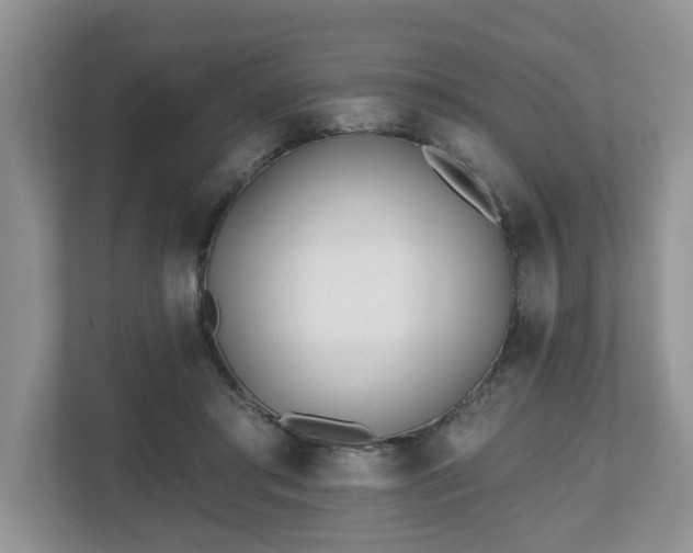 X0000112540405200908241531