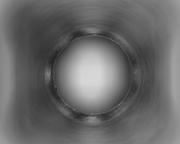 X0000112540406200908241531