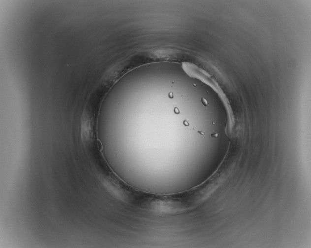 X0000112540408200908241531
