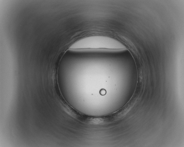X0000112540409200908241531