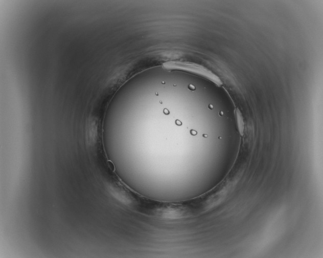 X0000112540412200908241531