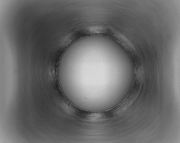 X0000112540418200908241531