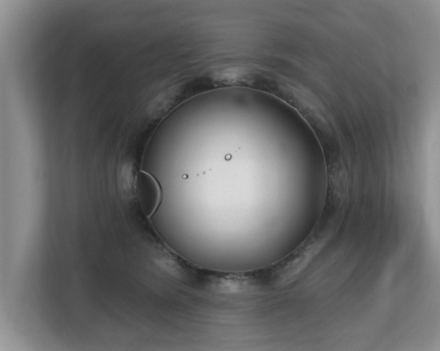 X0000112540420200908241531