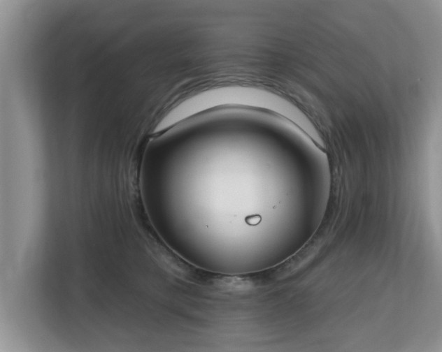 X0000112540421200908241531