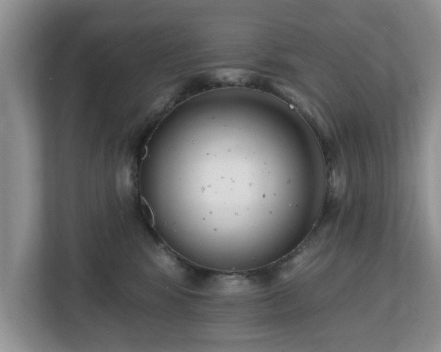 X0000112540424200908241531