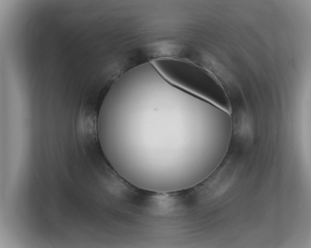 X0000112540425200908241530