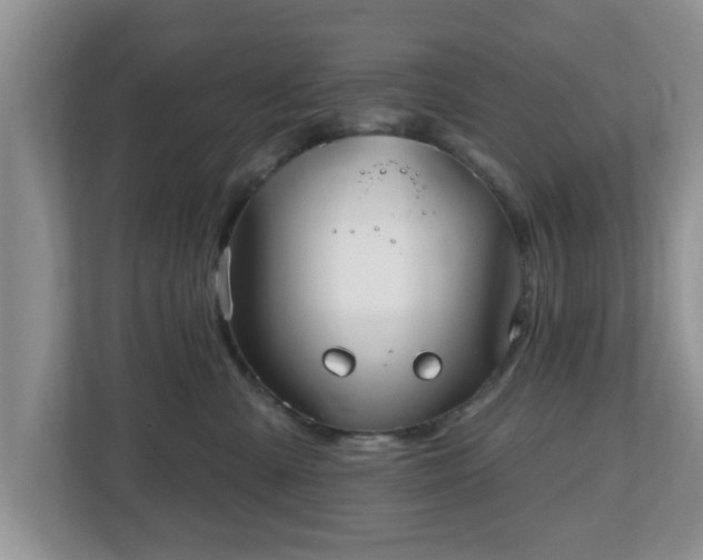 X0000112540427200908241530