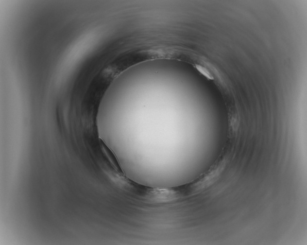 X0000112540429200908241530