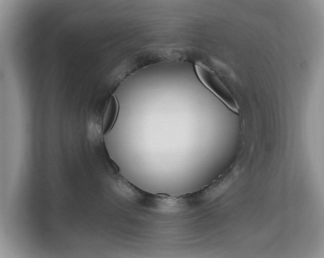 X0000112540432200908241530