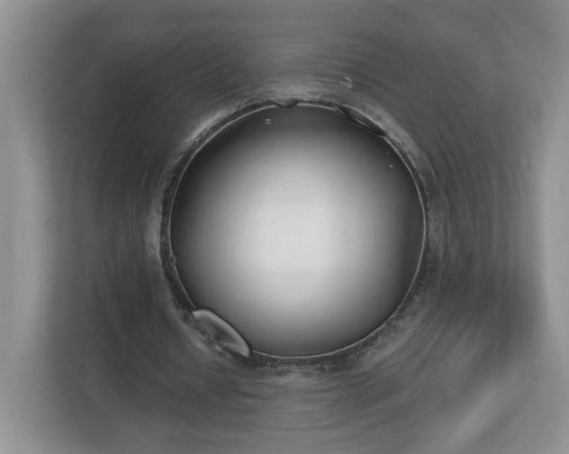 X0000112540434200908241530