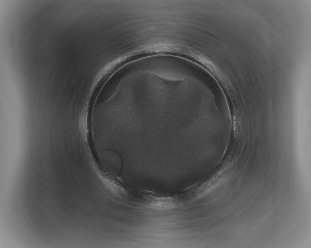 X0000112540438200908241530