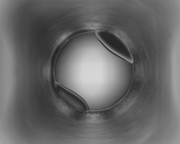 X0000112540440200908241530