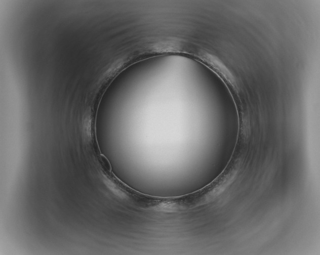 X0000112540441200908241530
