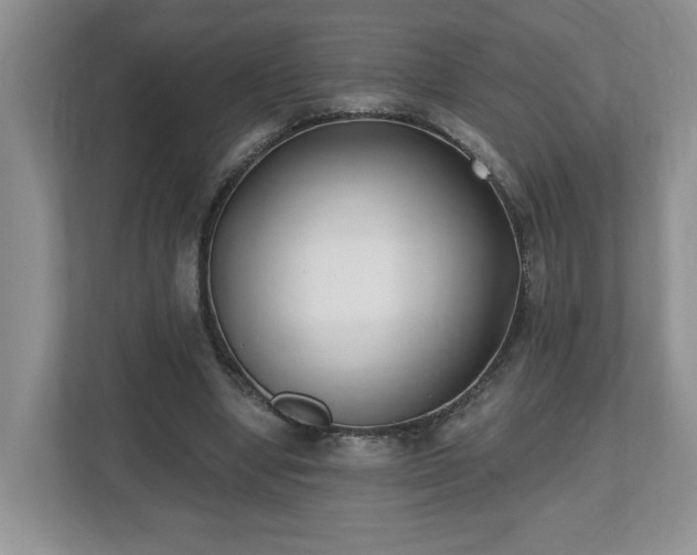 X0000112540442200908241530