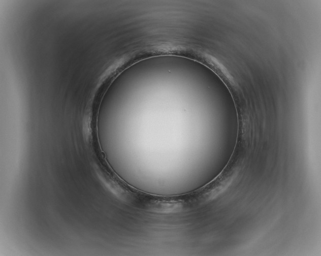 X0000112540443200908241530
