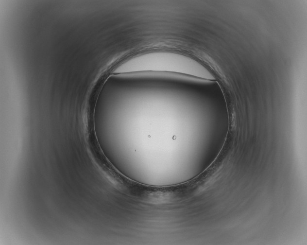 X0000112540444200908241530