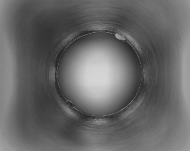 X0000112540445200908241530