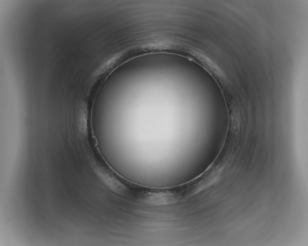 X0000112540446200908241530