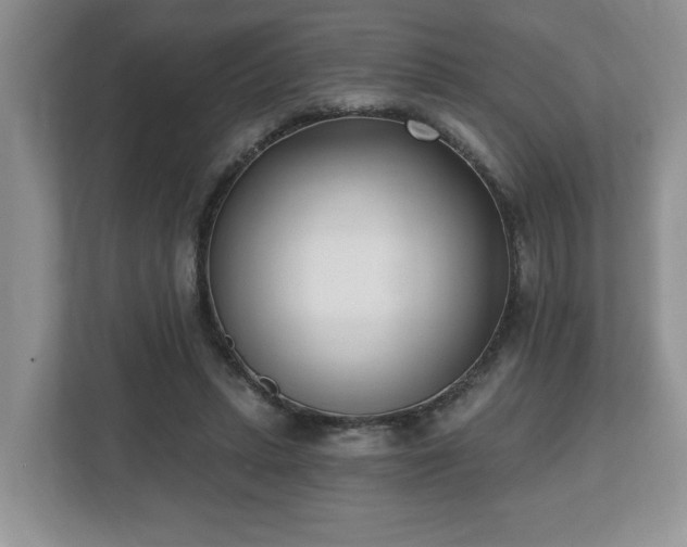 X0000112540447200908241530