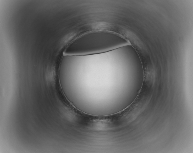 X0000112540448200908241530