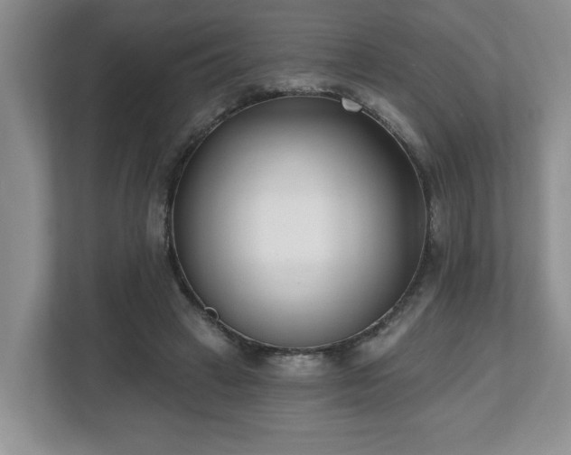 X0000112540449200908241530