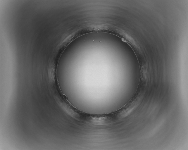 X0000112540450200908241530