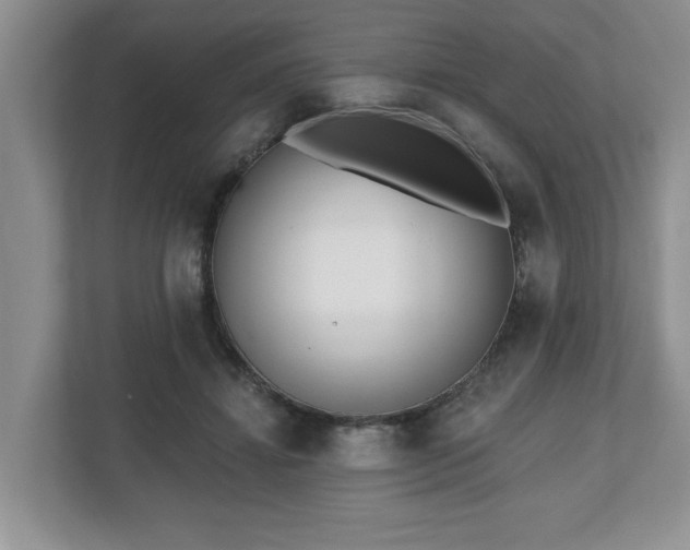 X0000112540452200908241530