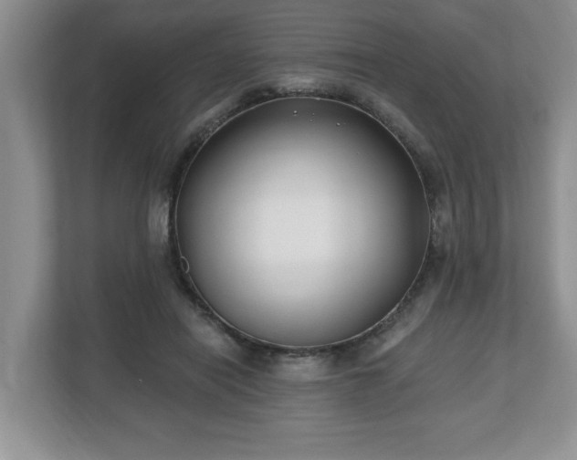 X0000112540454200908241530