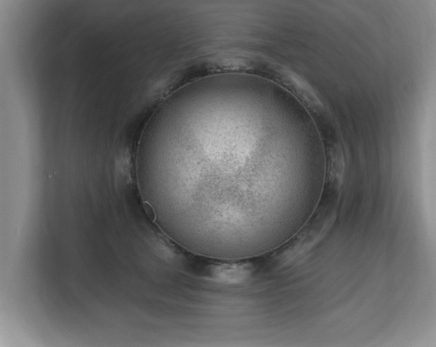 X0000112540465200908241530