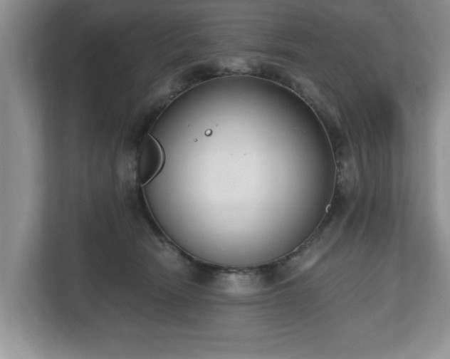 X0000112540466200908241530