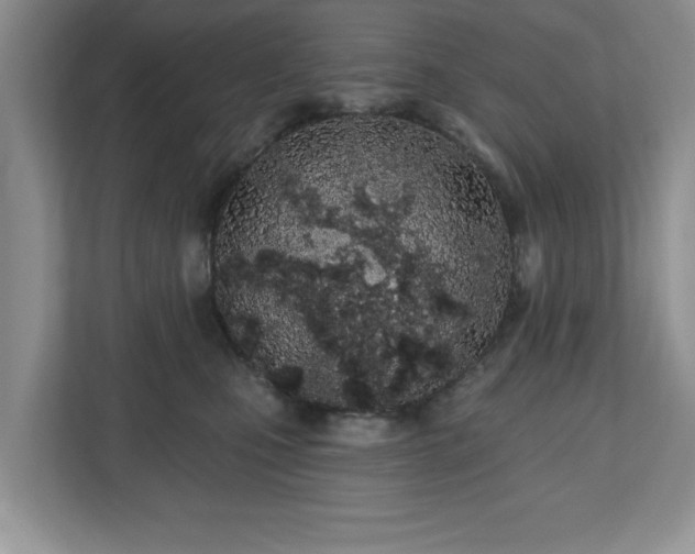 X0000112540471200908241530