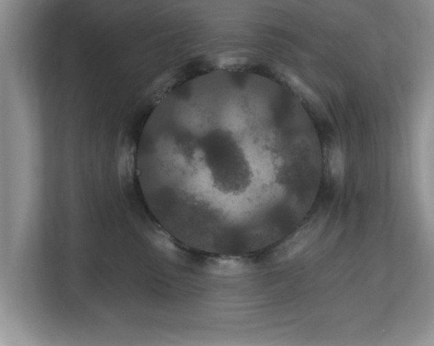 X0000112540475200908241530