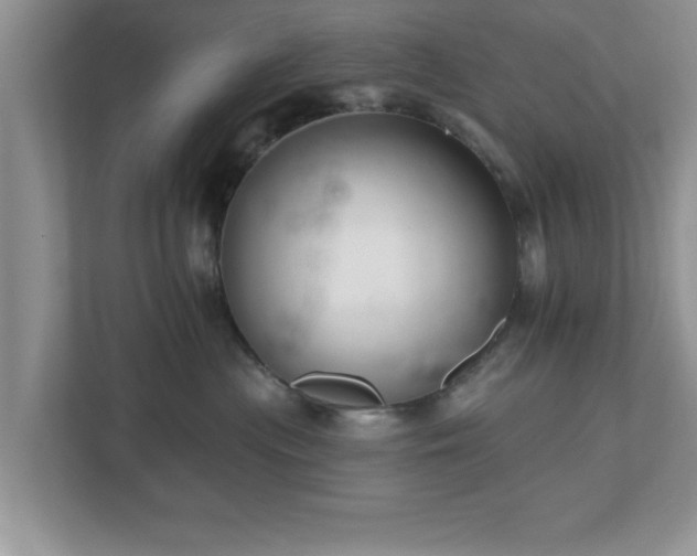 X0000112540477200908241530