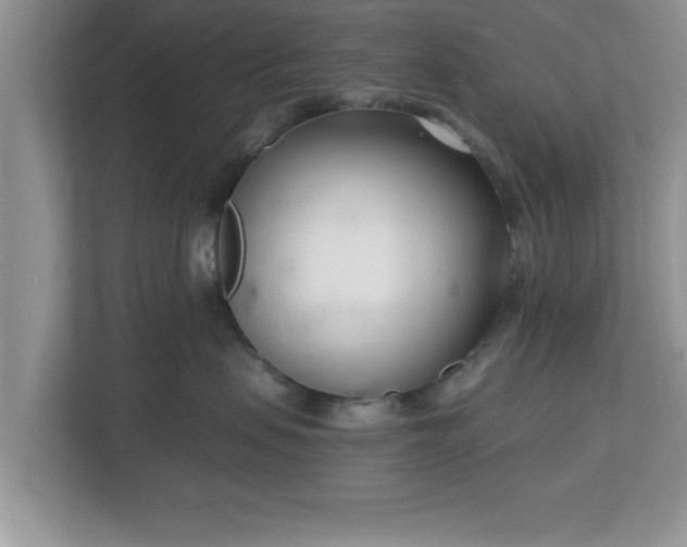 X0000112540479200908241530