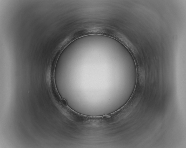 X0000112540482200908241530