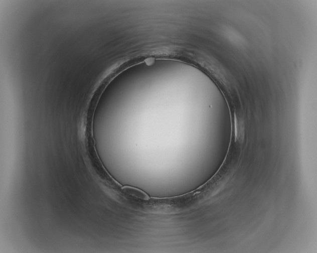 X0000112540483200908241530