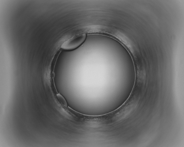 X0000112540485200908241530