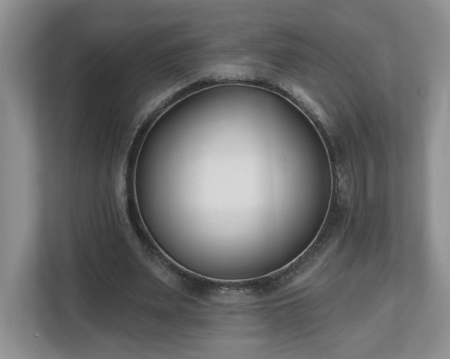X0000112540487200908241530