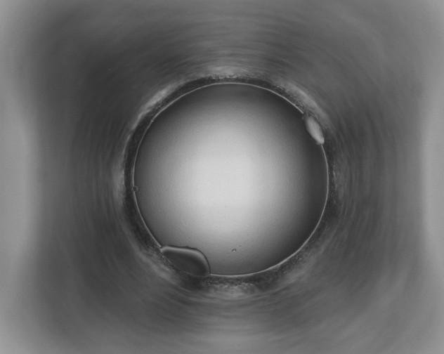 X0000112540488200908241530