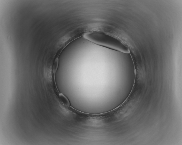 X0000112540489200908241530