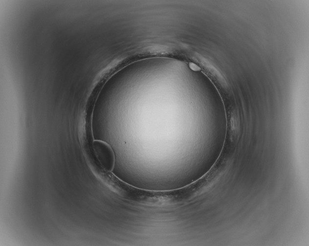 X0000112540492200908241530