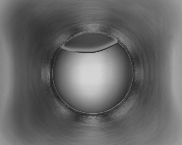 X0000112540493200908241530