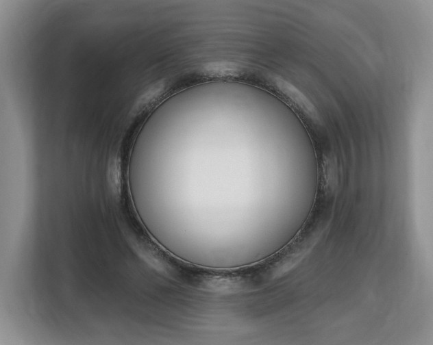 X0000112540494200908241530