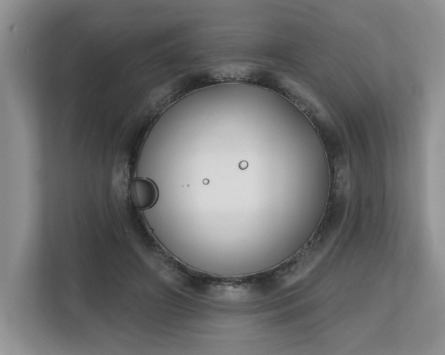 X0000112540498200908241530