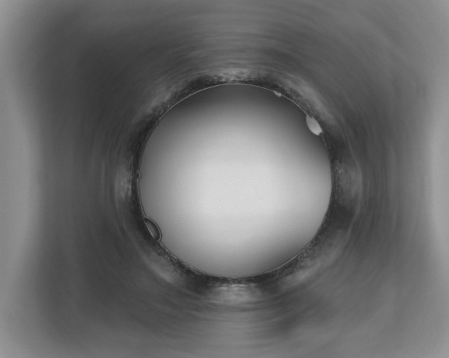 X0000112540499200908241530