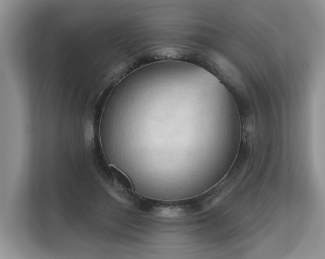 X0000112540500200908241530