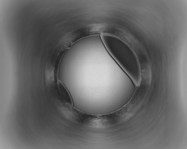 X0000112540504200908241529