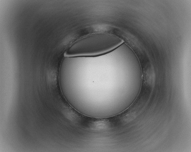 X0000112540505200908241529