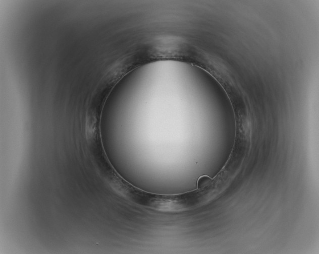 X0000112540507200908241529