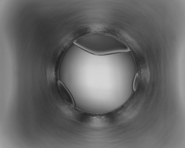 X0000112540508200908241529